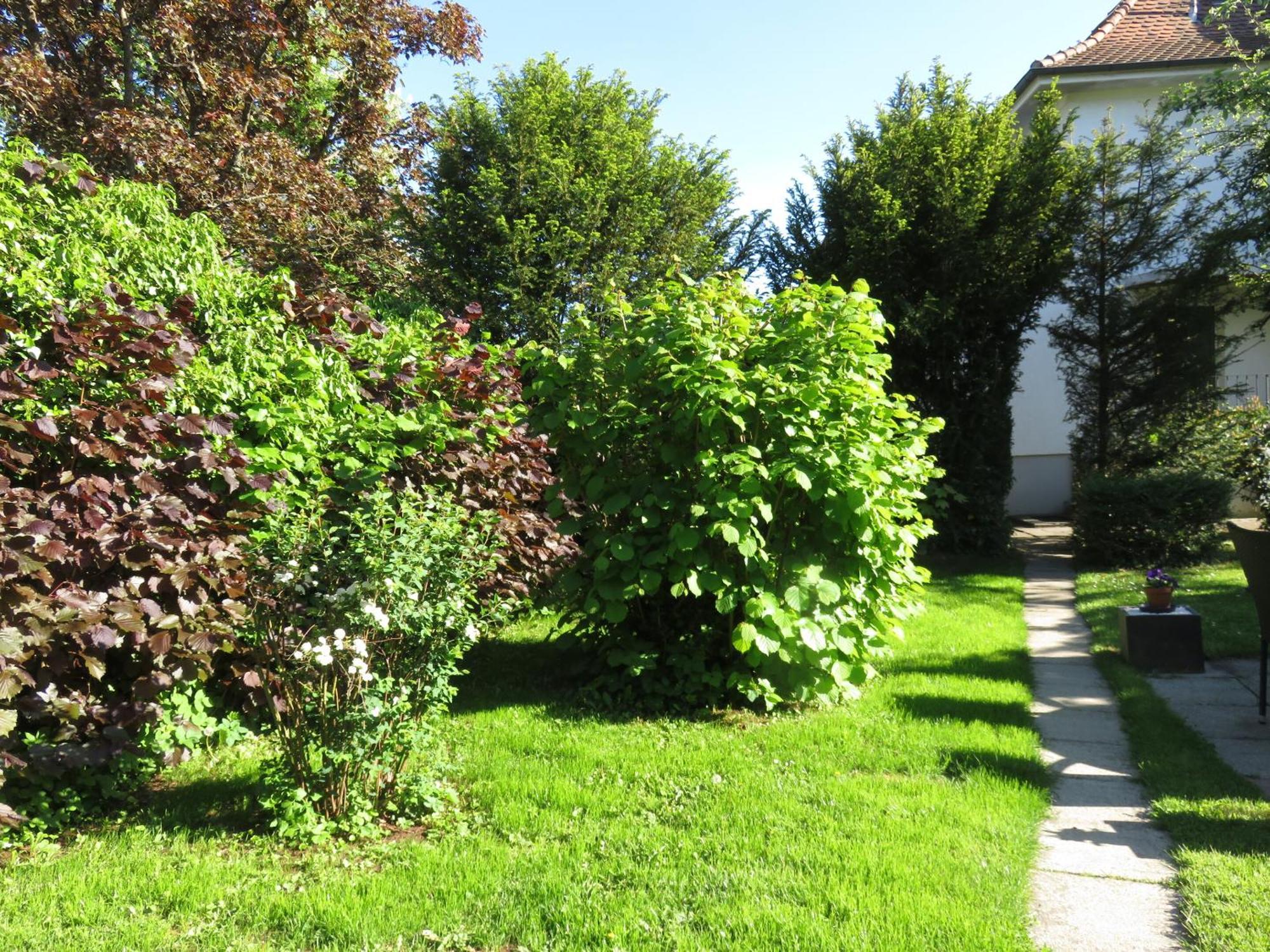 Pension Saentisblick Meersburg Buitenkant foto